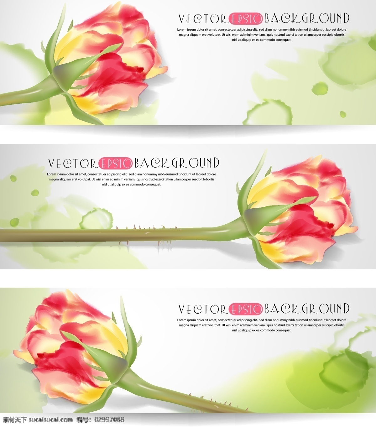 花朵 花卉 矢量 粉红色 美丽 含苞待放 贺卡背景 背景素材 源文件 免费素材 广告元素