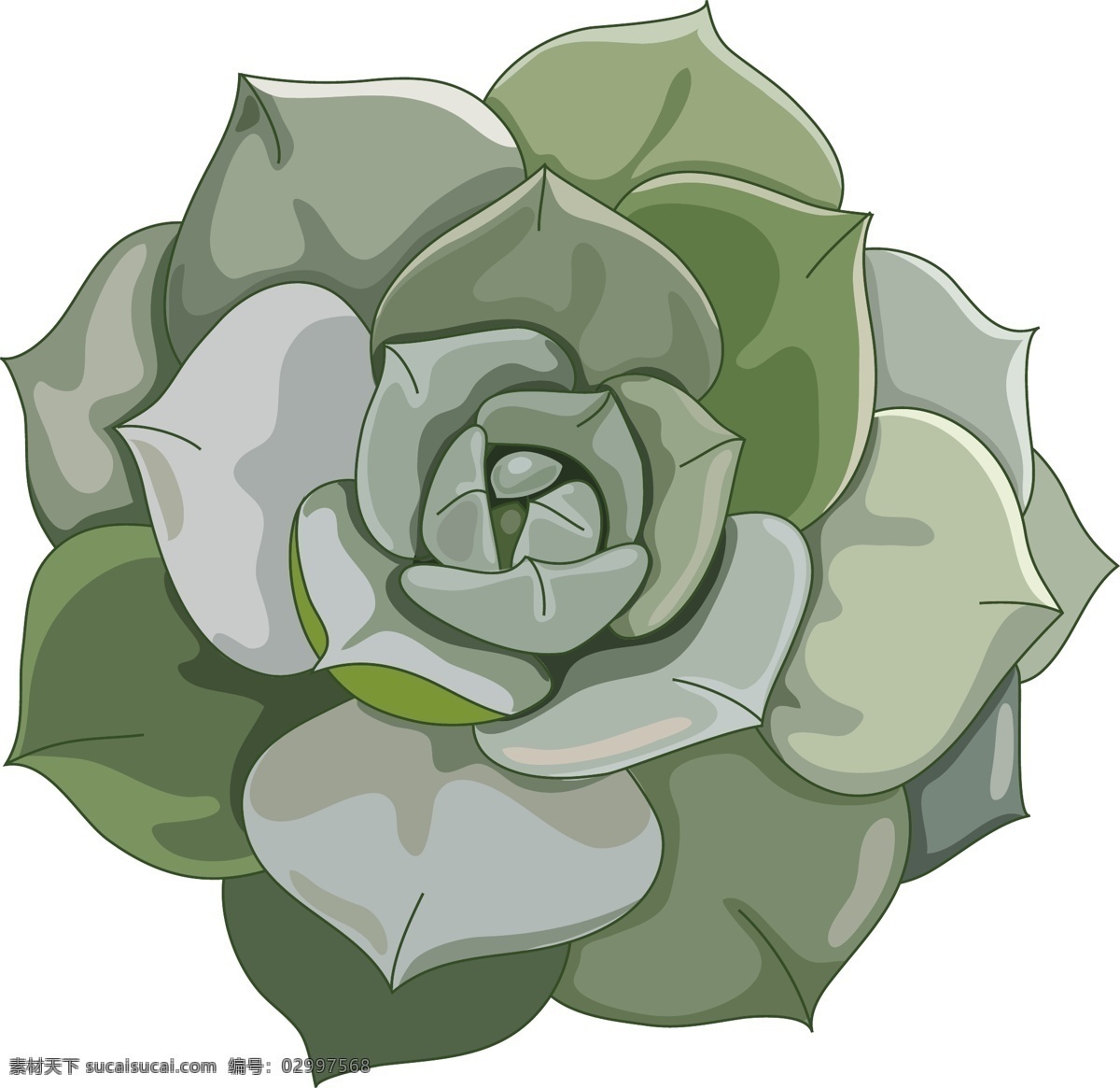 手绘 绿色 肉 植物 插画 多肉 花草 卡通