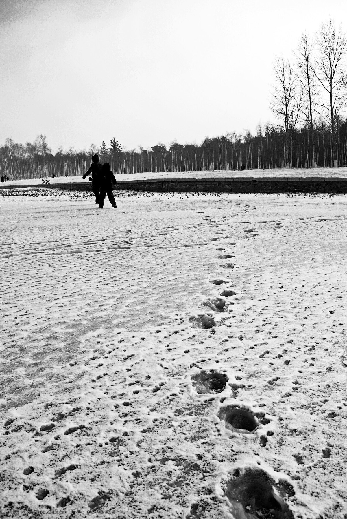 吉林冰湖 雪地 冰湖 雪地湖泊 灰色