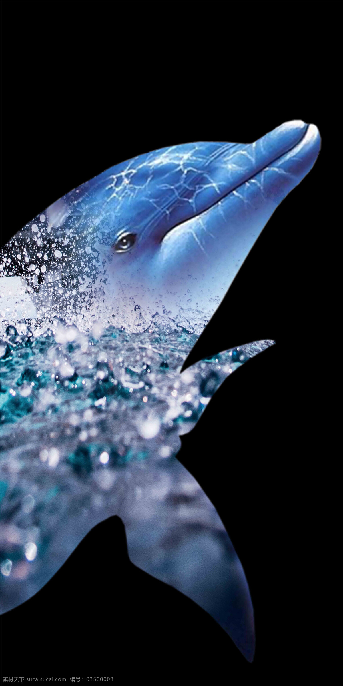 海豚装饰画 海豚 海浪 冰块 黑色 水花