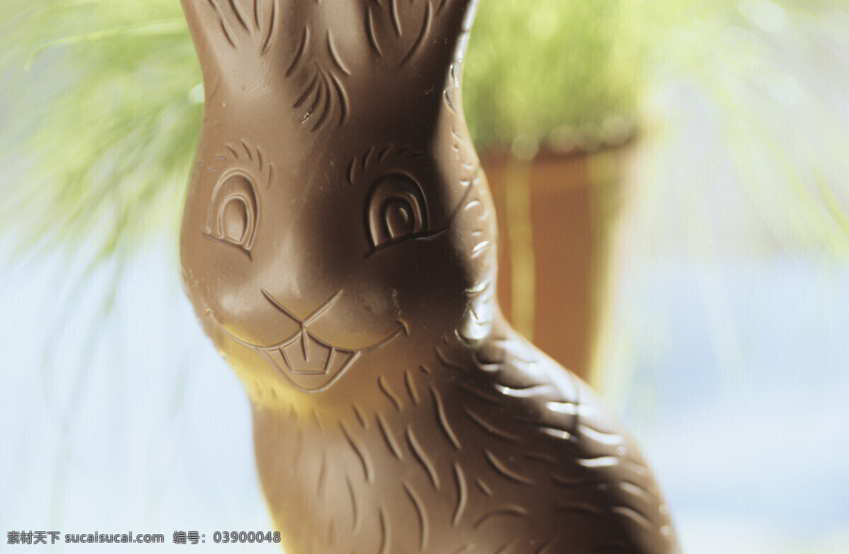 复活节 兔子 可爱兔子 可爱小兔子 复活节素材 复活节装饰 陆地动物 生物世界