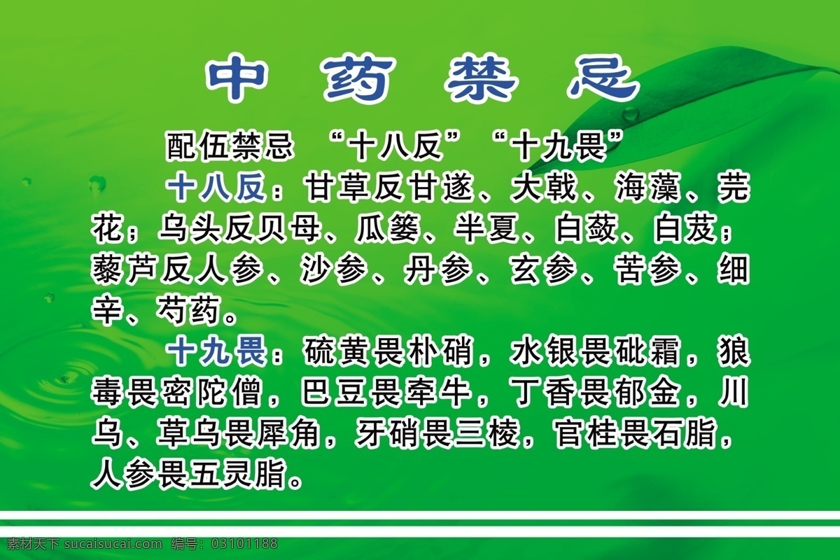 中医 禁忌 分层 源文件库 模板下载 中医禁忌 十八反 十九畏 海报 其他海报设计