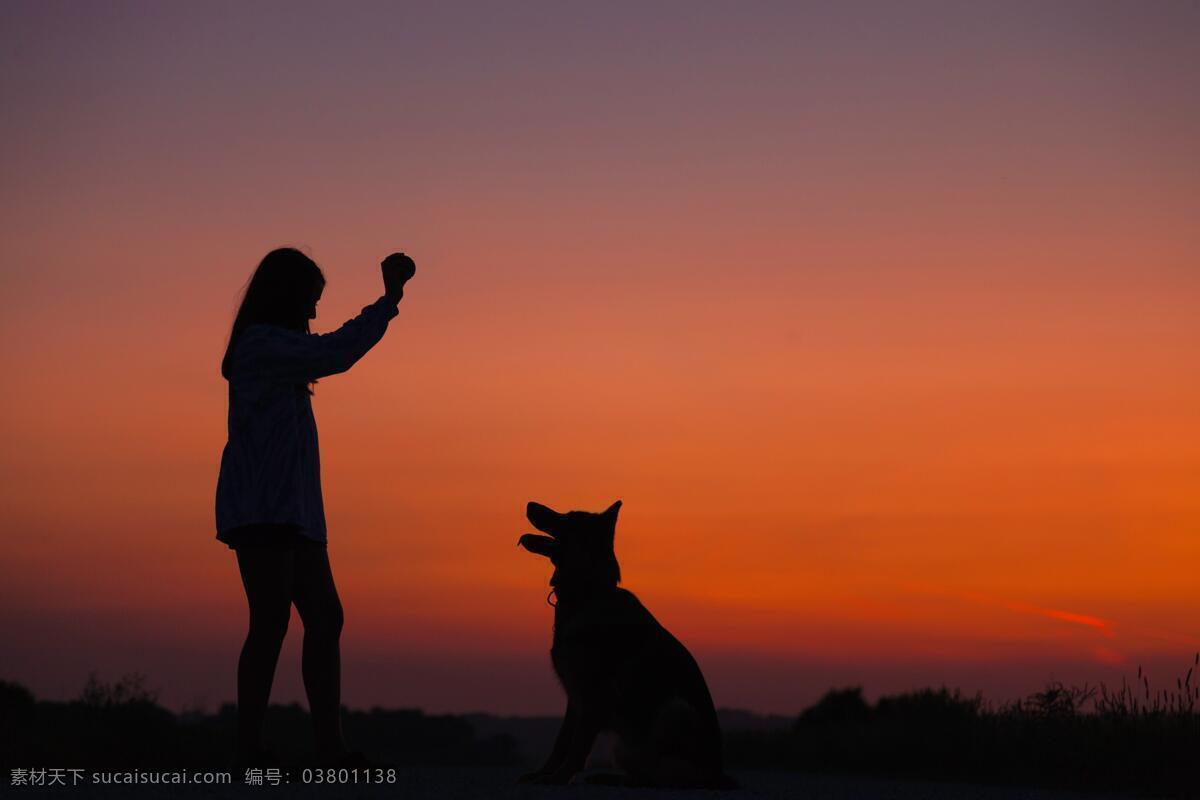 人和狗夕阳下 狗 宠物 狗猫 猫 野狗 流浪狗 宠物狗 人和狗 人 互动 夕阳 夜景 晚霞 萨摩耶 雪纳瑞 金毛 狮王 比特犬 犬 狼狗 哈士奇 草地 公园 遛狗 汪星人 人物图库 日常生活