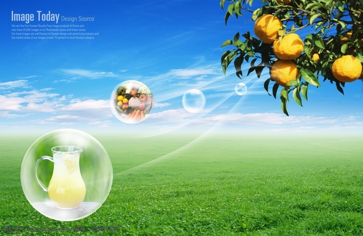 新鲜橙汁 绿色概念 环保 节能 清新 自然 新鲜 橙汁 气泡 水果 草地 蓝天 白云 广告设计模板 psd素材 绿色