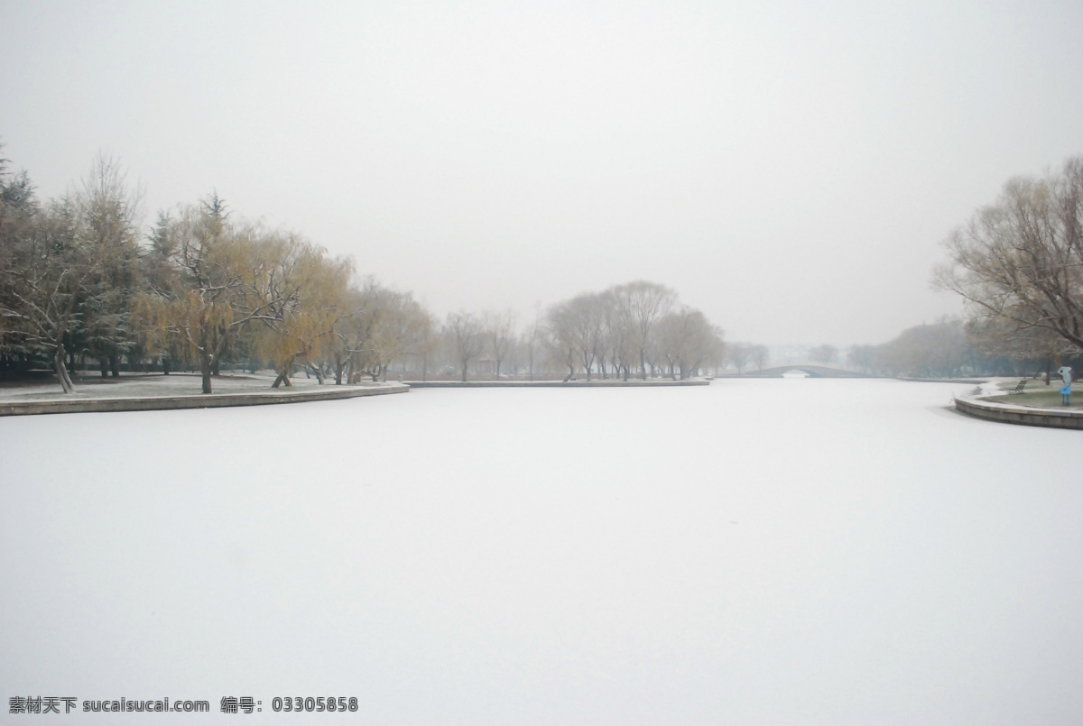 冬雪 凛冽 冬天 美景 镜头中的世界 生物世界 花草 白色