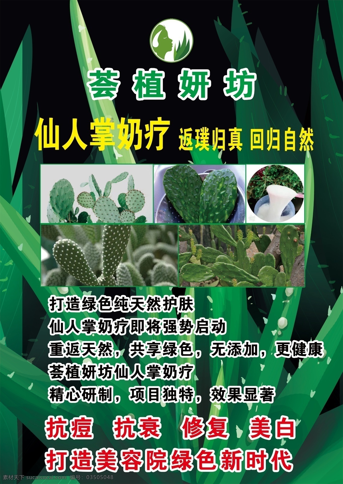 仙人掌奶疗 植绘妍坊 仙人掌 仙人掌海报 美容 美容海报 分层