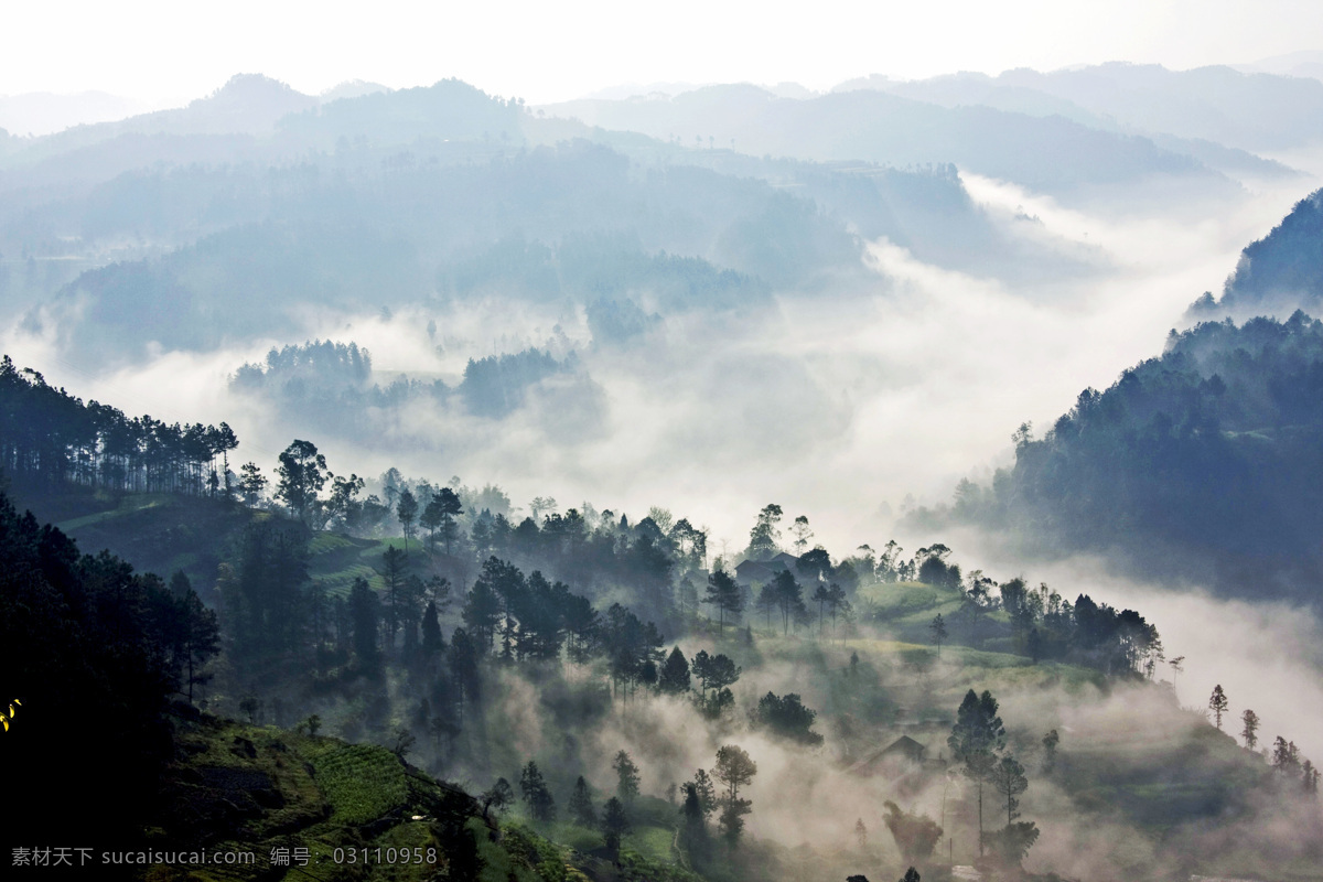 仙境 山峦 树林 雾气 美景 自然风景 自然景观