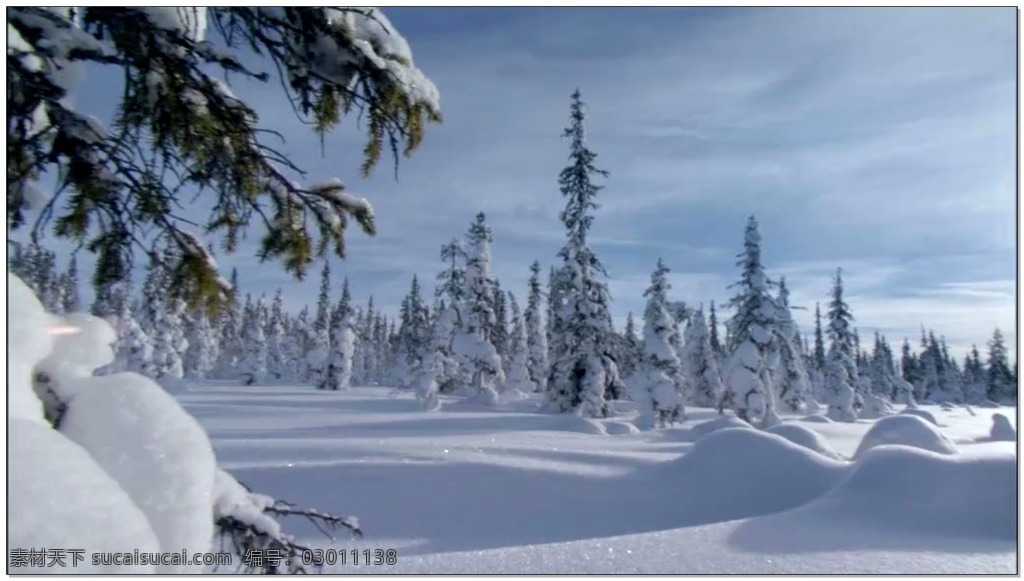 雪景 动态 视频 白色 光芒 蓝天 视频素材 动态视频素材