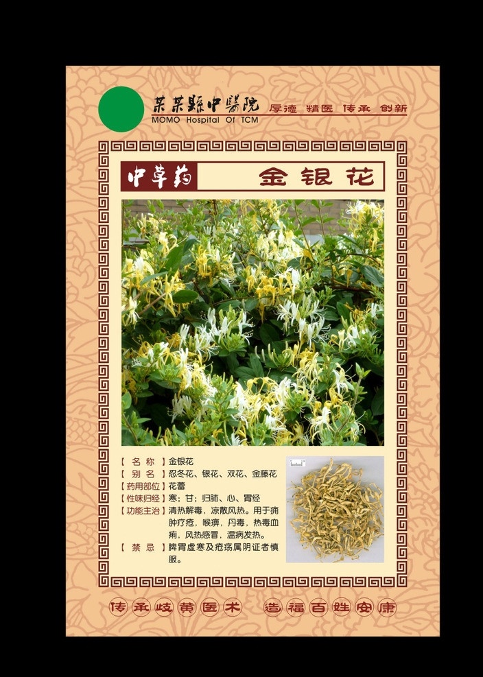 中草药 金银花 中医文化 古典 花纹 边框 中草药简介 医疗保健 生活百科 矢量