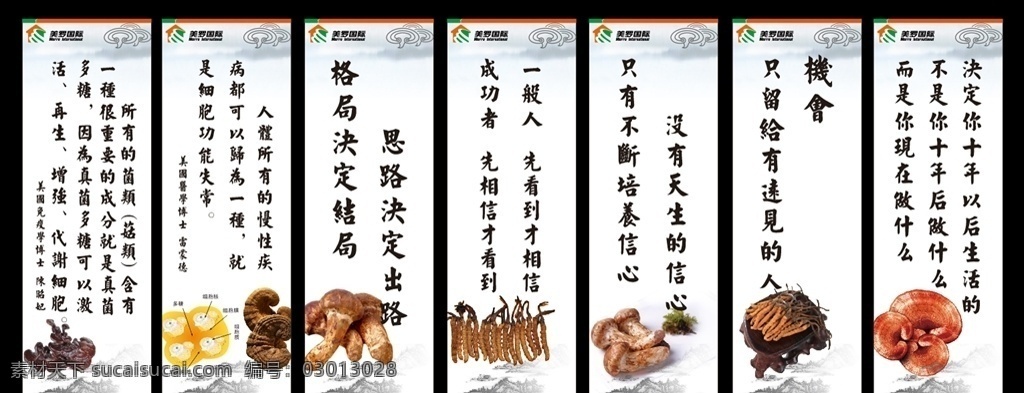 美罗国际 山水 水墨 国画 灵芝 vi设计