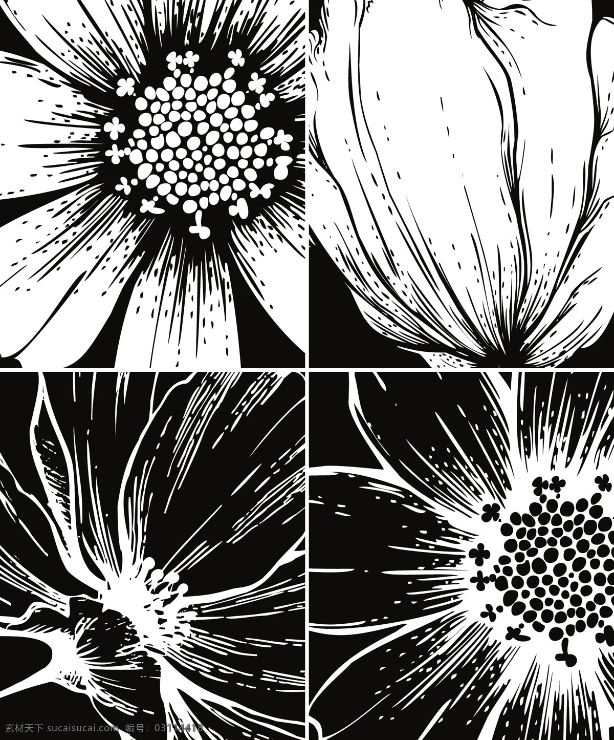 醒目 黑色 线条 花 载体 web 背景 插画 创意 免费 矢量花朵 图 图形 病 媒 生物 时尚 独特的 原始的 高质量 质量 新鲜的 白色 花朵 黑色的线 矢量图