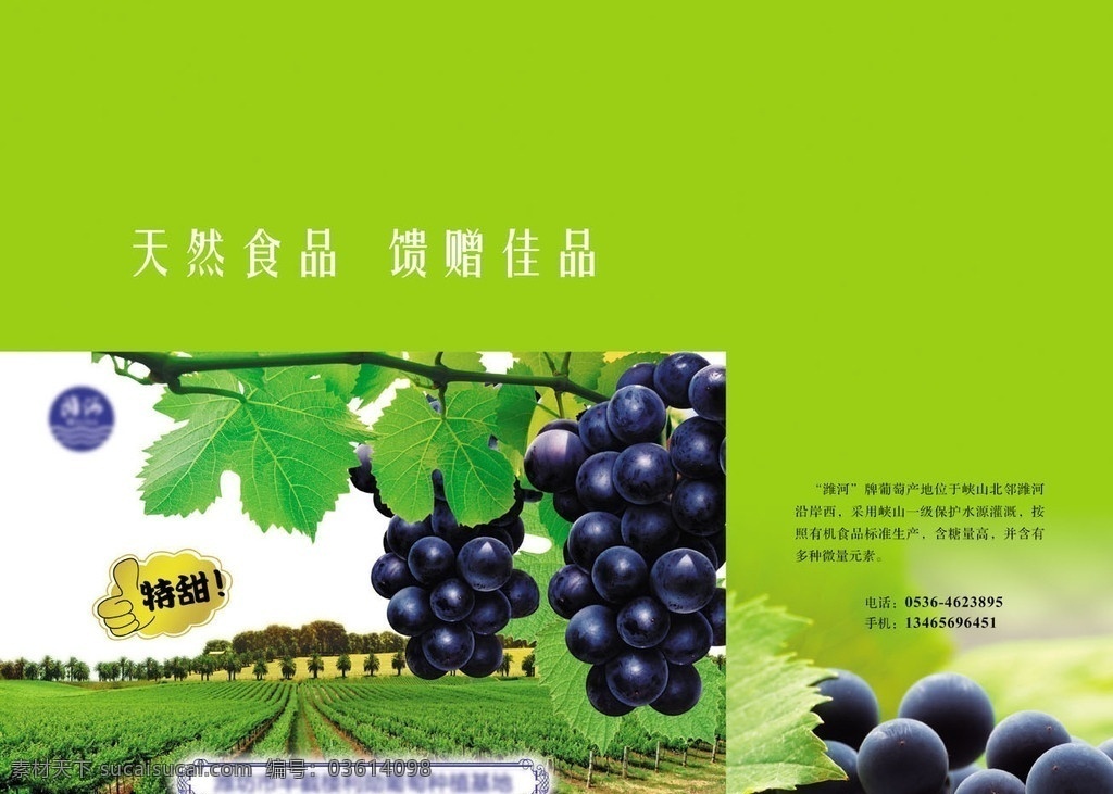 黑 葡萄 包装设计 黑葡萄 葡萄箱 葡萄包装设计 葡萄园 葡萄庄园 广告设计模板 源文件