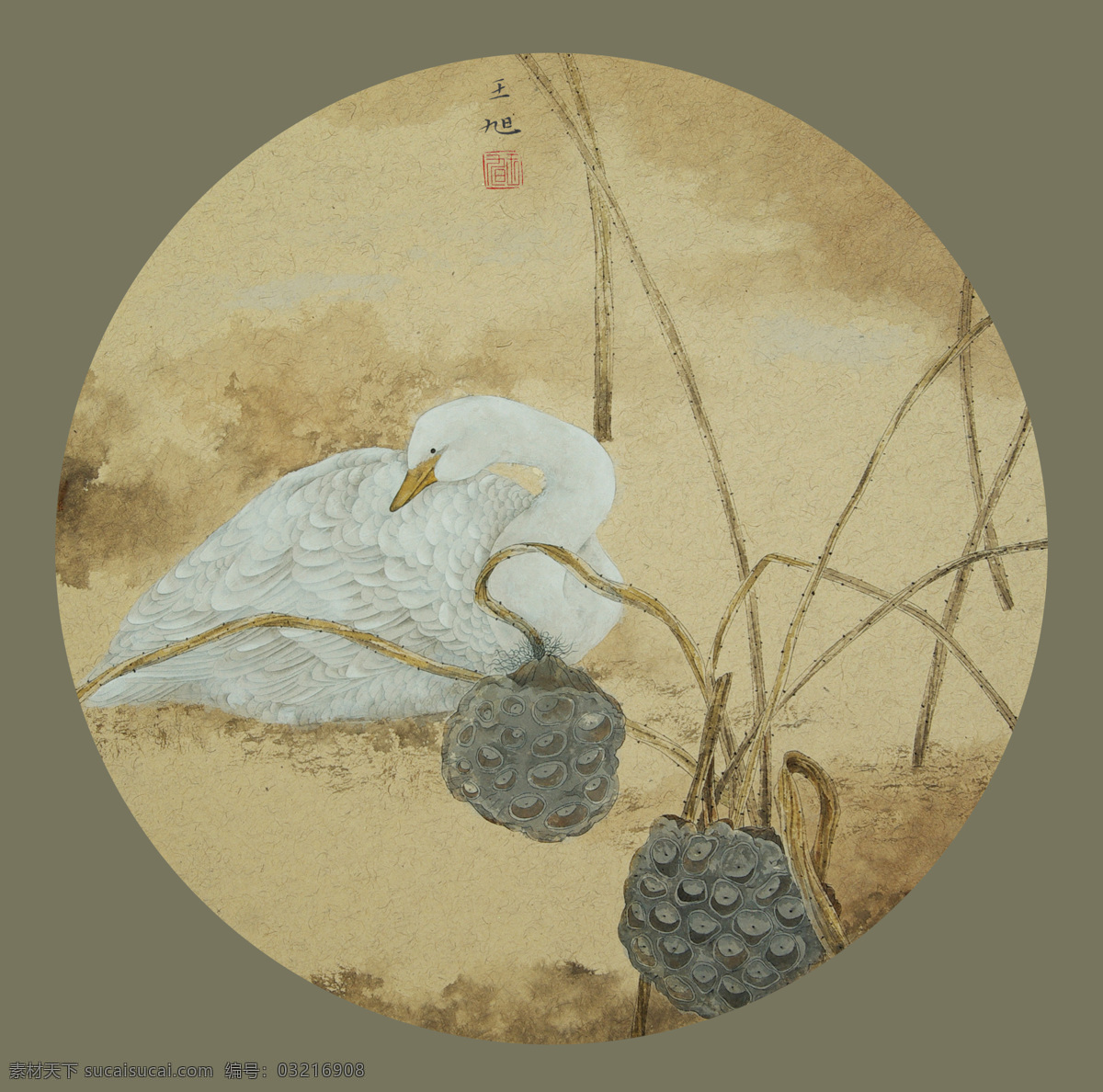 花鸟扇面 国画 工笔 花鸟 花鸟画 工笔花鸟画 花鸟国画 扇面 艺术绘画 文化艺术 绘画书法