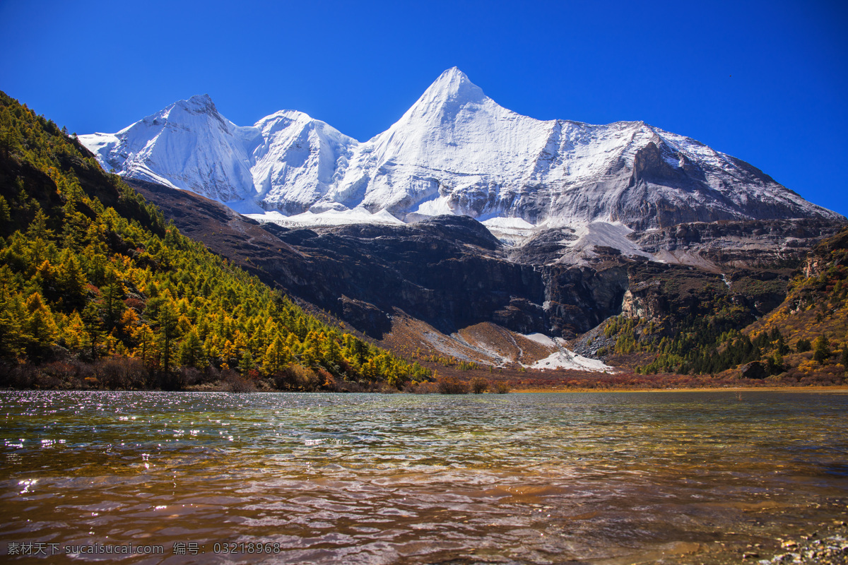 亚丁风景 四川 甘孜 稻城 亚丁 秋天 金色树叶 山林 树林 草原 雪山 亚丁行 旅游摄影 自然风景