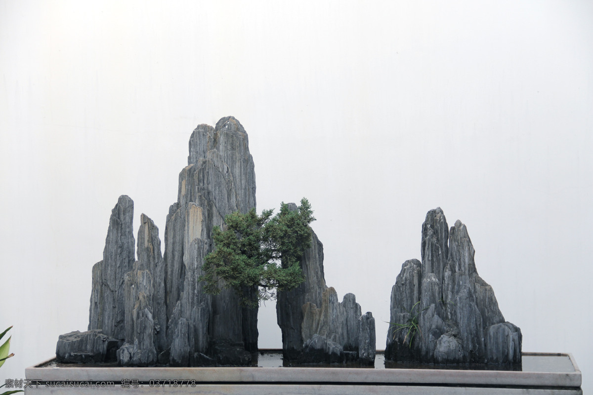 盆景 盆栽 假山 园林 苏州园林 雅致 山水 雕塑 中国 中式 东方 中国元素 水墨 建筑园林