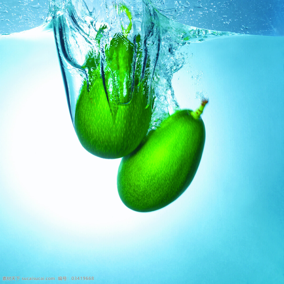 水下的木瓜 设计素材 水果 水波纹 水花四溅 水底 木瓜 两个木瓜 摄影素材 生物世界