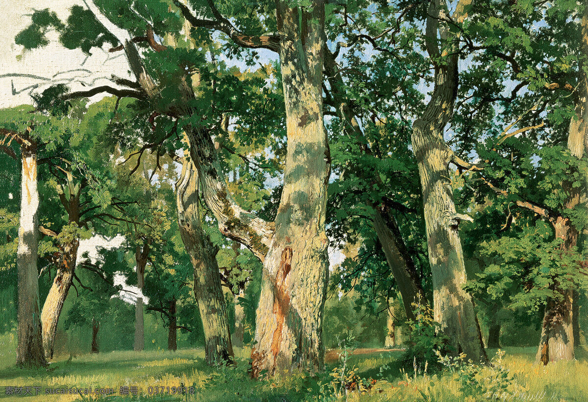 希施金 高清 油画 风景 树林 光感强 写实 表现技法纯熟 文化艺术 绘画书法