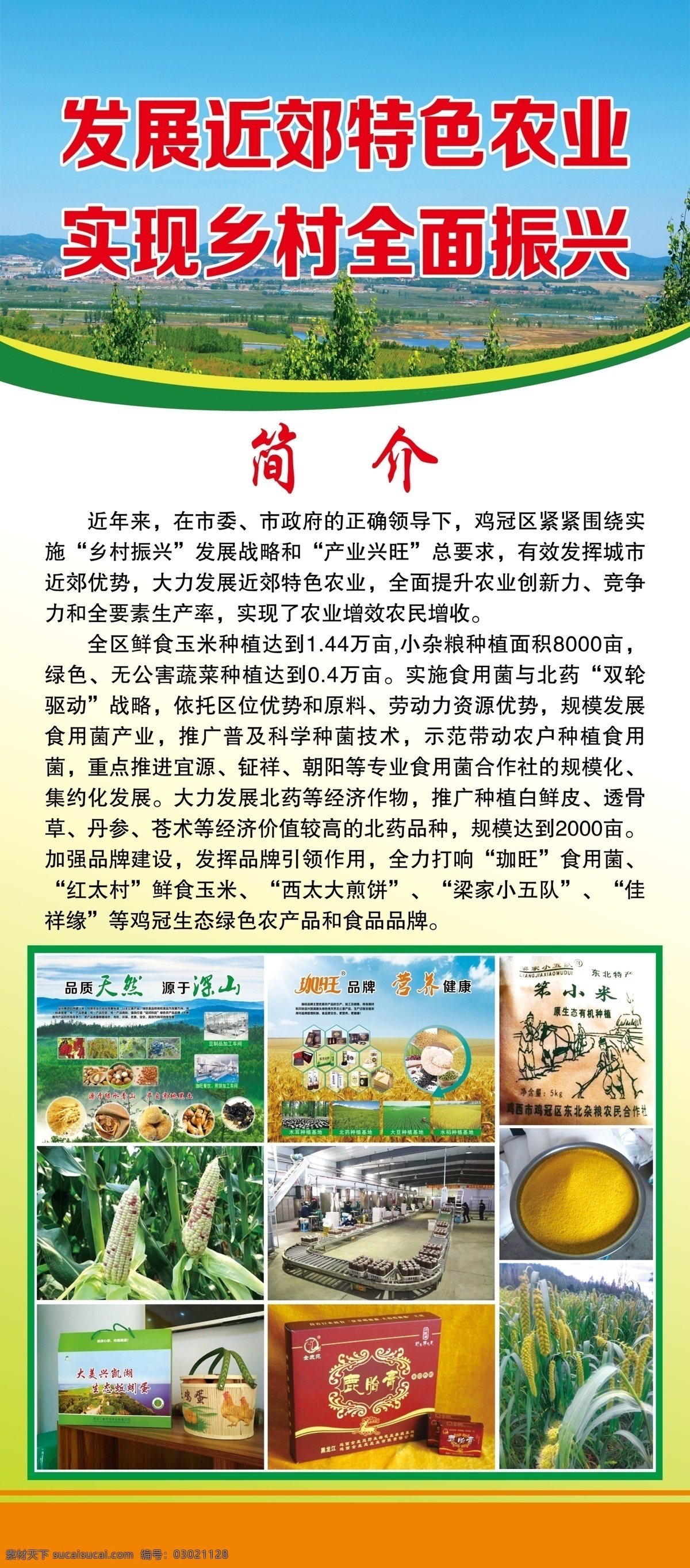 发展 近郊 特色农业 实现乡村 全面振兴 鲜食玉米 农副产品 副食加工 门型展架 分层