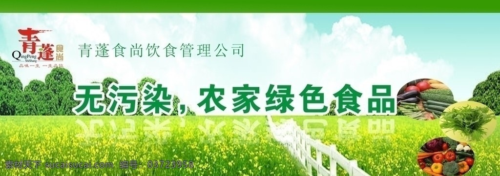 绿色食品 青菜 菜 绿色 农家 食品 餐饮 海报 广告 矢量