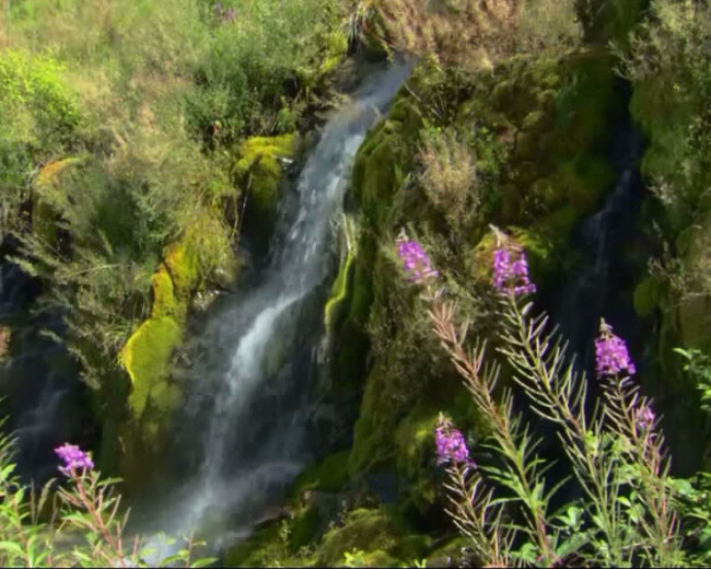 自然 系列 之水 主题 夜 绚丽红叶 门外的枫树 常用影视素材 视频 实拍视频