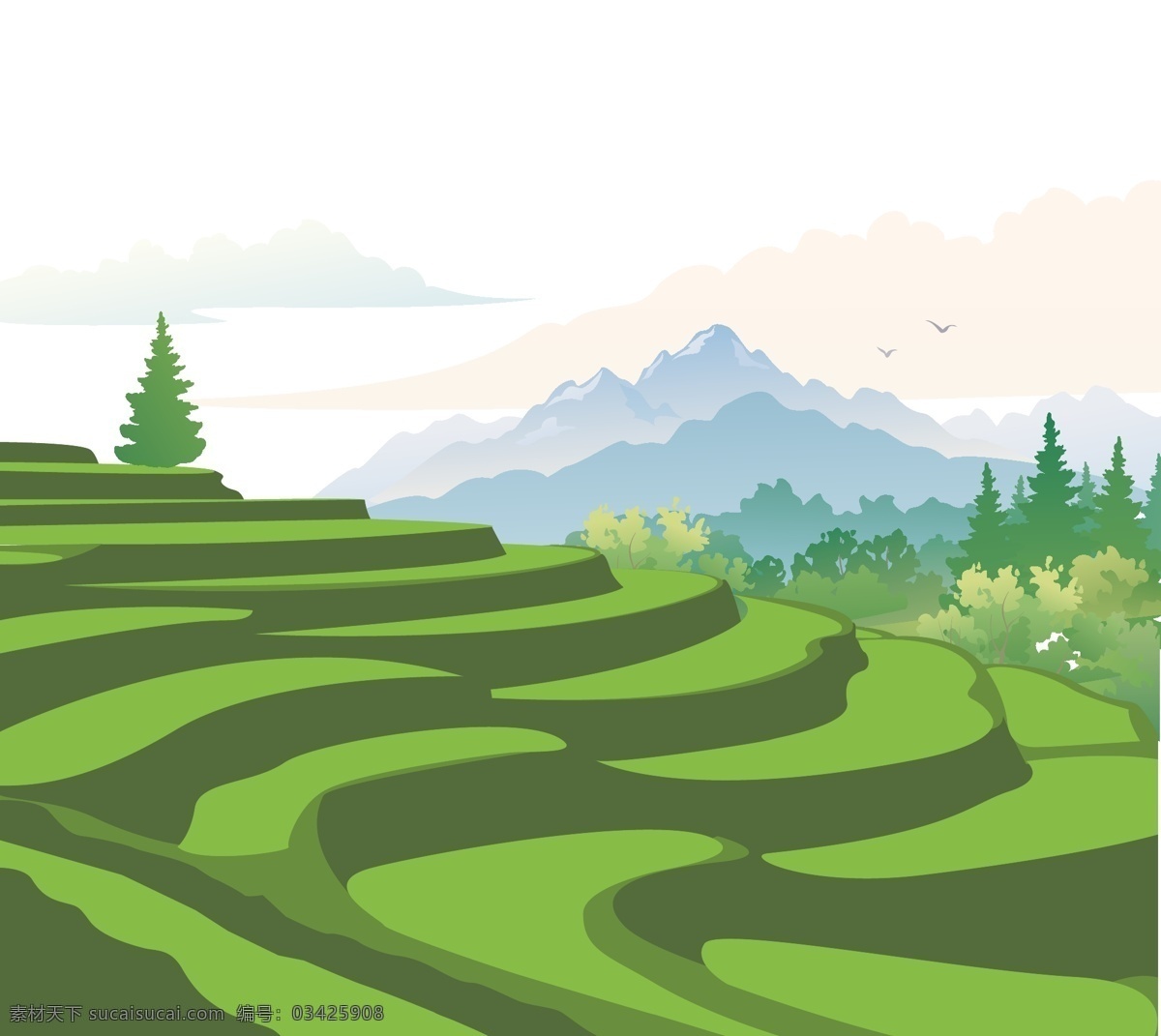 梯田 插画 红河 云南 商插