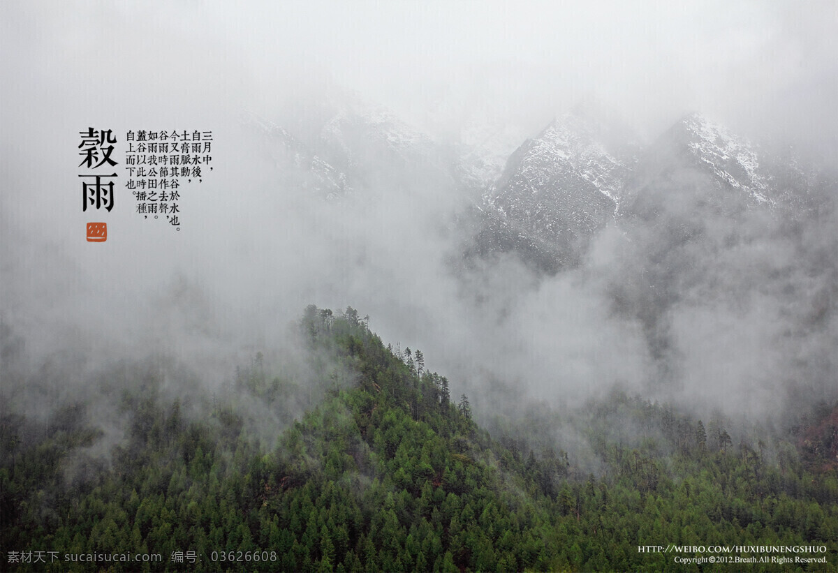 二十四节气 谷雨 张春摄影作品 自然风光 自然景观 转载 请 注明 出处 作者