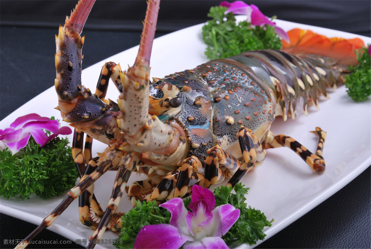 深海 龙虾 刺身 深海龙虾刺身 美食 传统美食 餐饮美食 高清菜谱用图