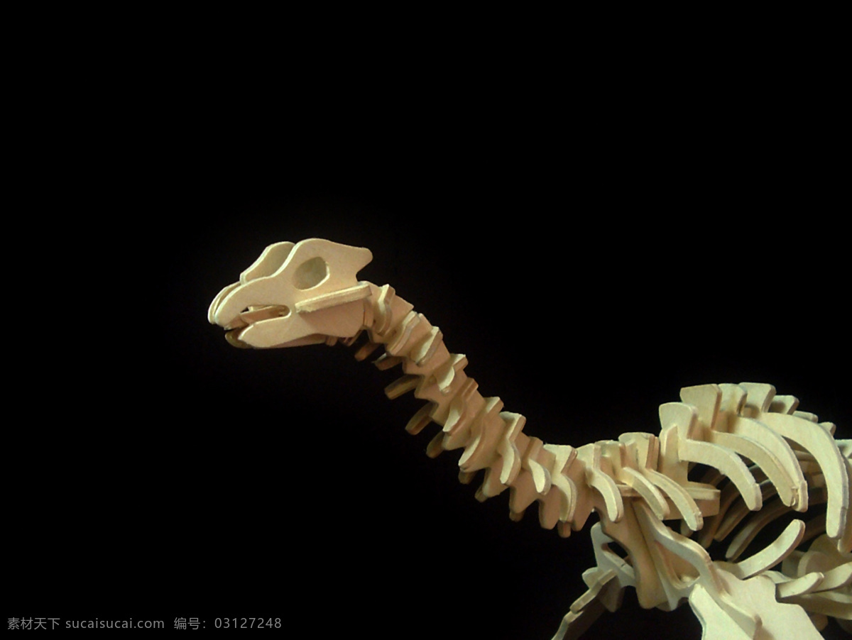骨骼 骨架 恐龙 拼图 生活百科 娱乐休闲 玩具 恐龙玩具 积木玩具 psd源文件