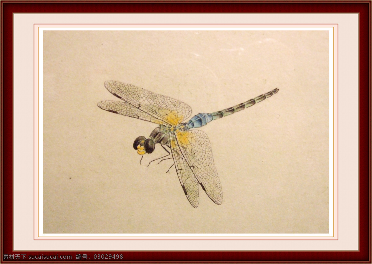 翅膀 飞舞 工笔画 绘画书法 蜻蜓 文化艺术 设计素材 模板下载 蜻蜓工笔画 已装裱 有框画