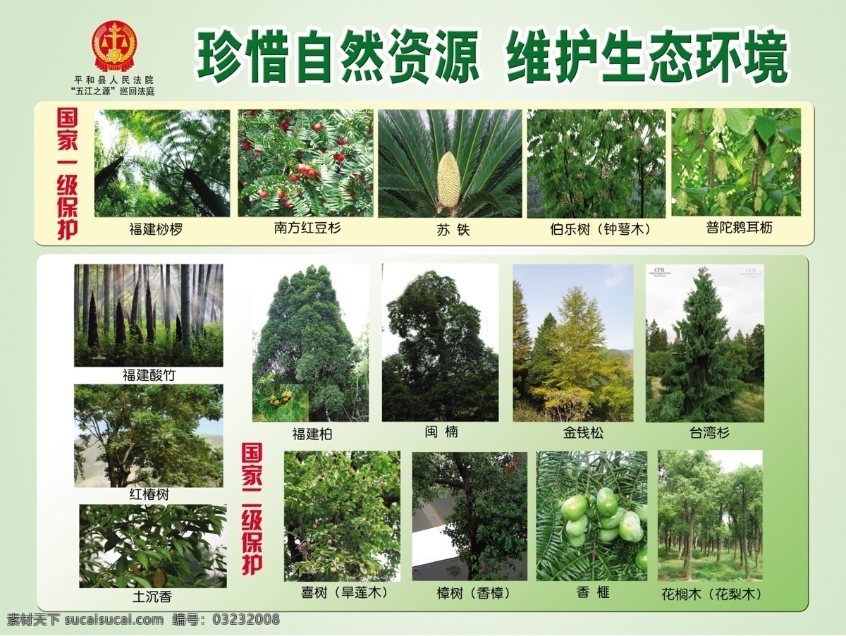 福建省 国家 保护 植物 法院 生态 国家一级保护 二级保护 桫椤 红豆杉 广告设计模板 源文件
