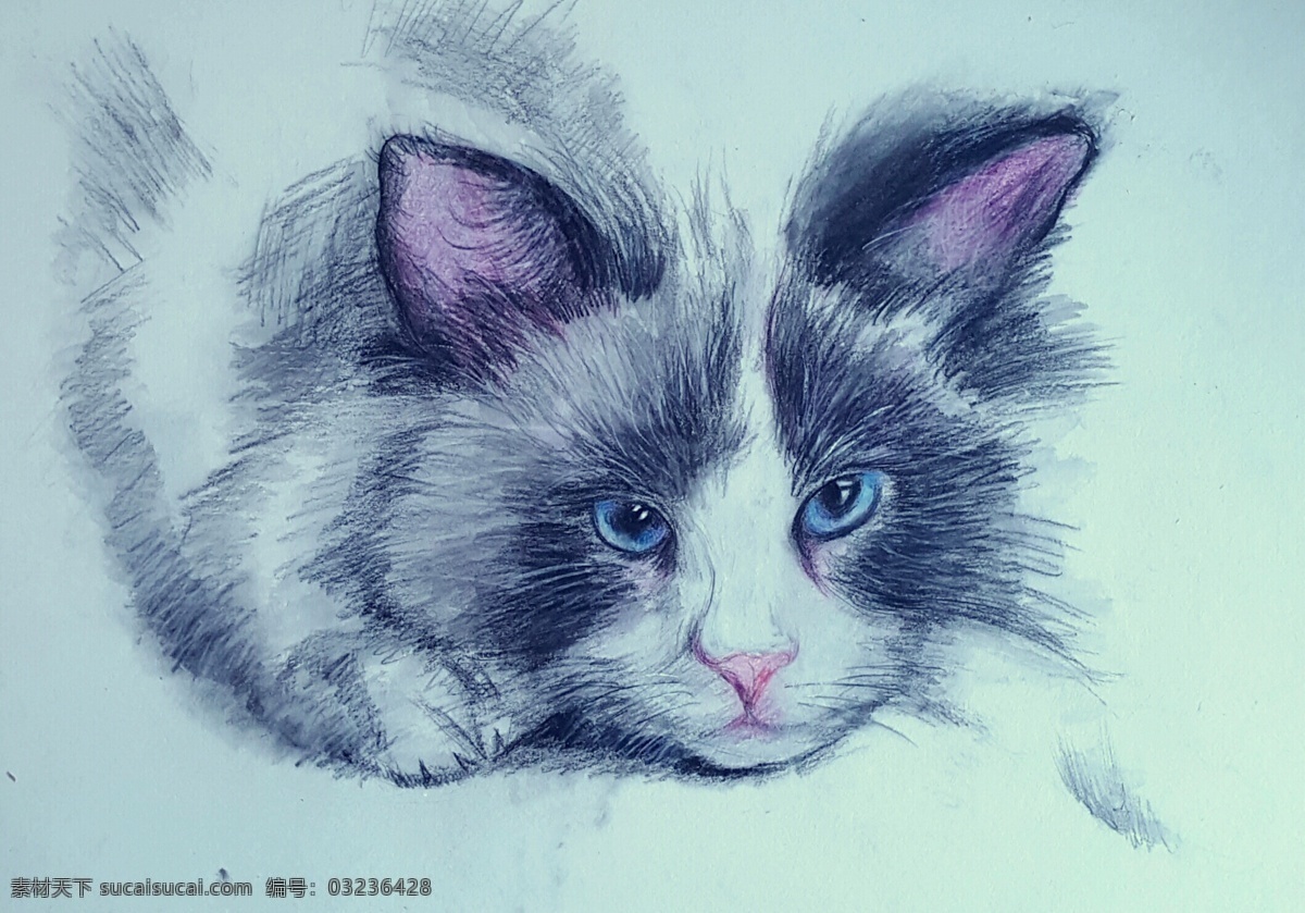 彩铅画 猫 水溶彩铅 作品 美术 文化艺术 绘画书法