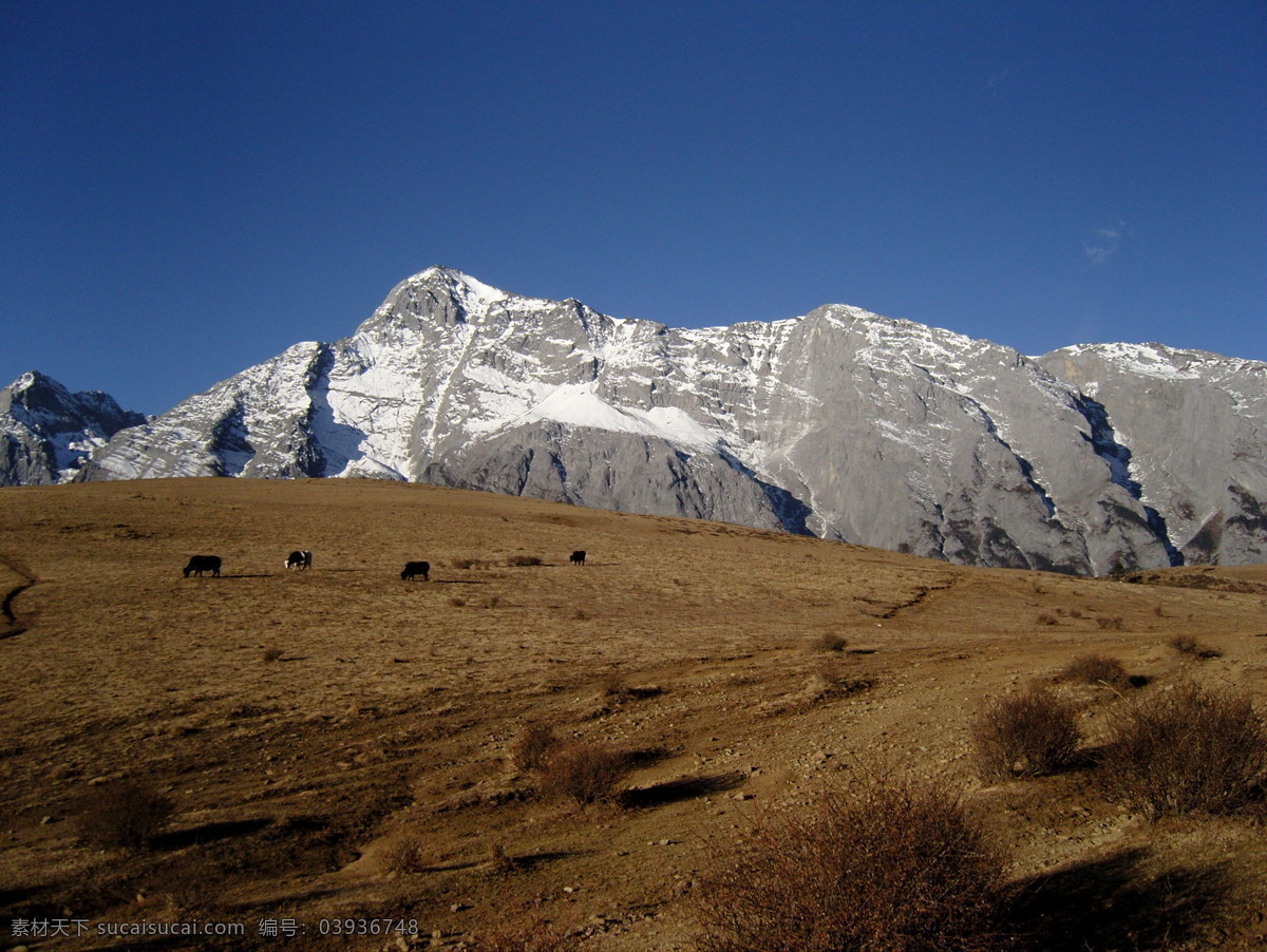 设计图库 雪山风景 雪山风景图片 雪山图片 玉龙雪山图片 雪山 风景图片 桌面 玉龙雪山风景 风景 生活 旅游餐饮