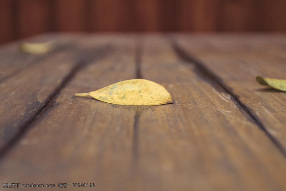 木板 上 落叶 商用 背景 图 树叶 叶子 复古 古典