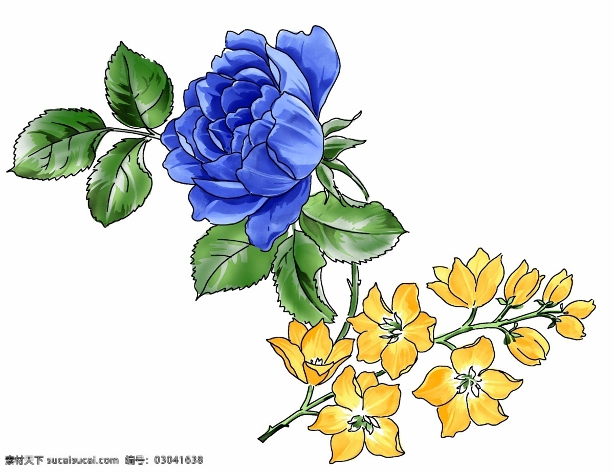 蓝玫瑰 玫瑰花 花朵 朵花 分层 源文件