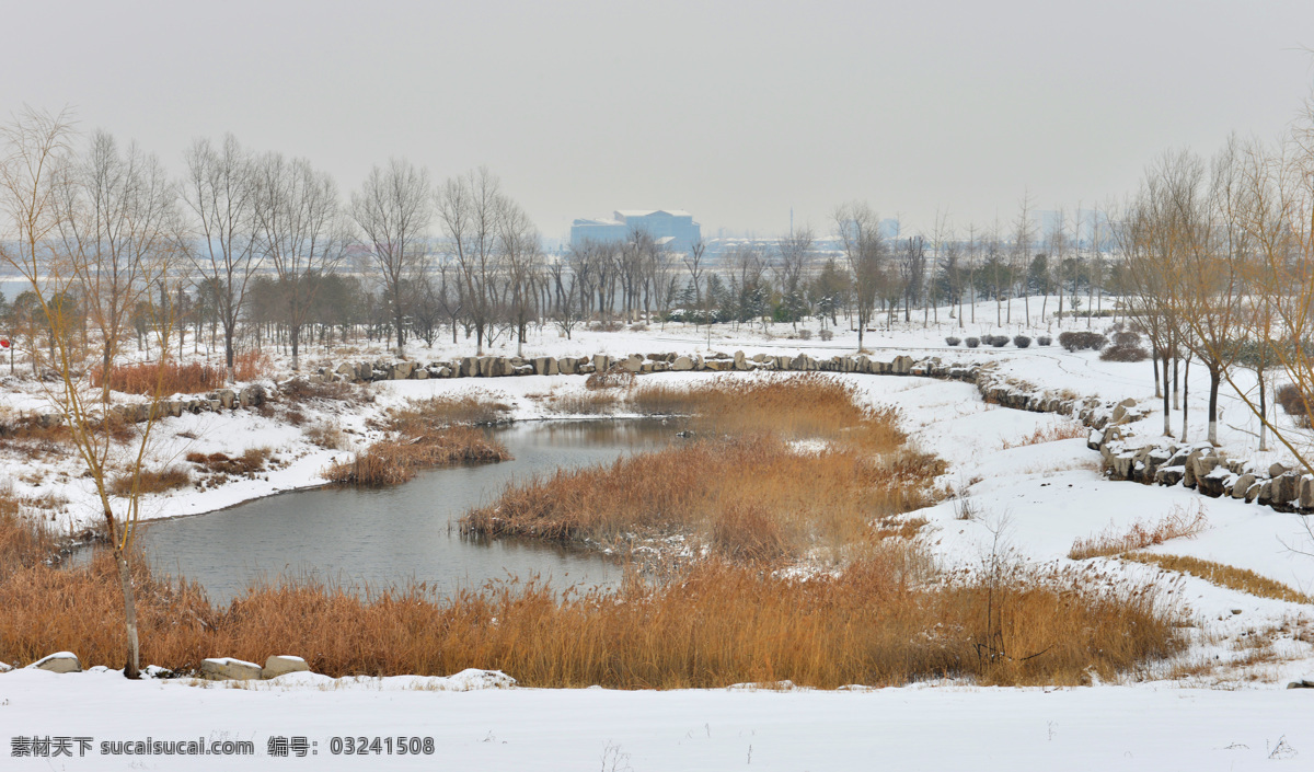 沂河冬雪 沂河冬景 雪地 下雪了 雪景 河边雪景 冬天 冬日 自然风景 自然景观 灰色
