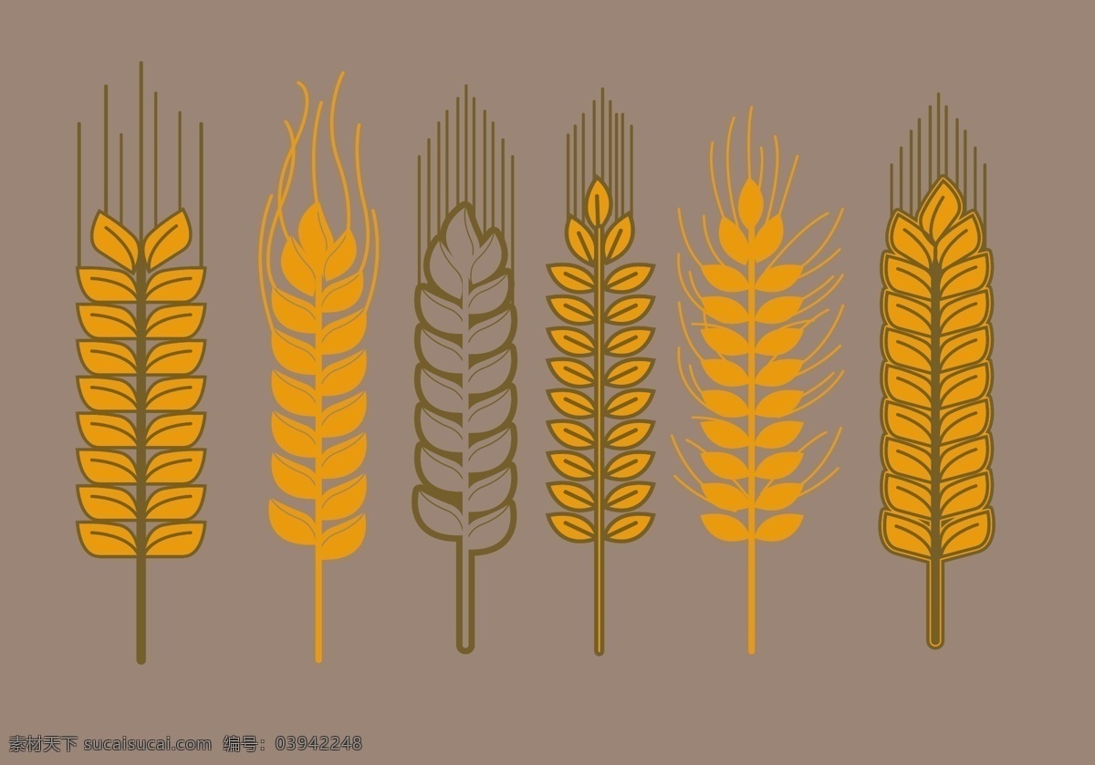 小麦秸秆载体 小麦秸秆 小麦 秸秆 粮食 植物 黄金 农业 文化 植物区系 自然 夏季 黄色 种子 背景 谷物 玉米