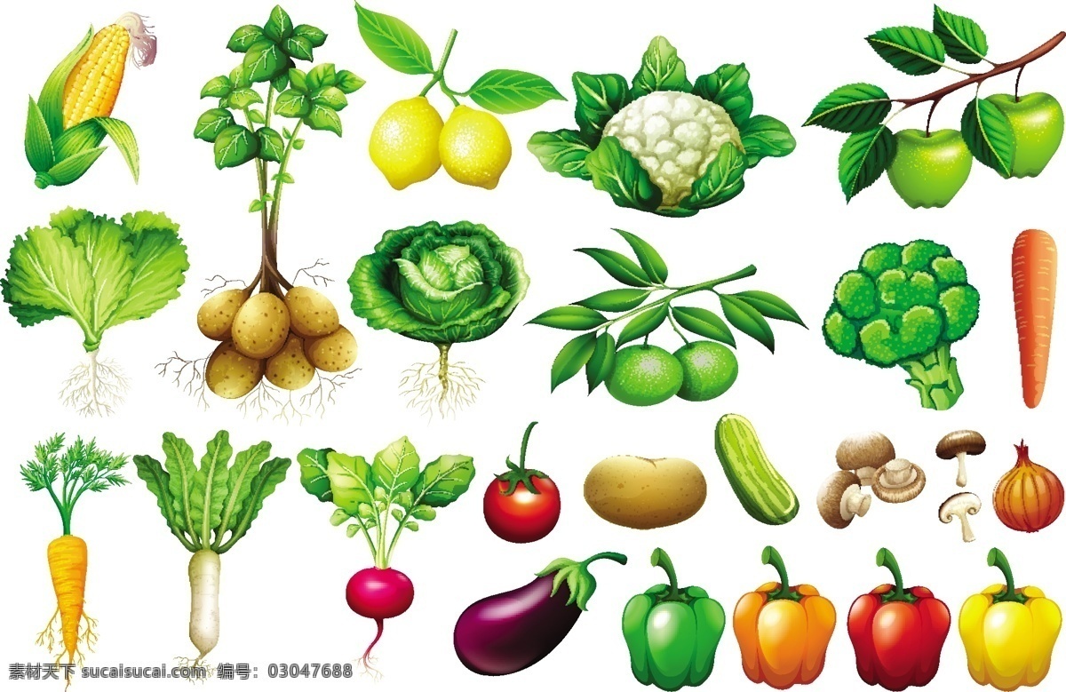 新鲜的蔬菜 水果 新鲜 蔬菜 菜花 玉米