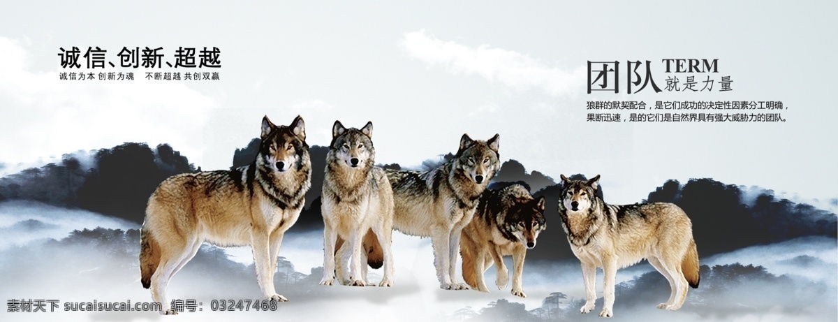 狼群团队 团队精神 团队狼性 野狼 协作 七匹狼 分层 源文件
