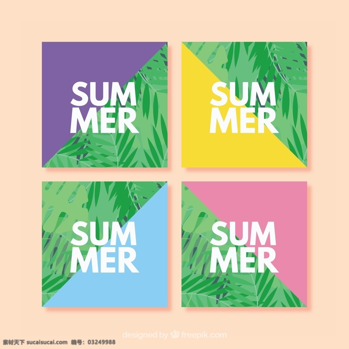 丰富多彩 暑假 卡 收集 花卉 卡片 夏季 模板 自然 报价 树叶 字体 文字 五颜六色 热带 平板 植物 平面设计 棕榈 信息 刻字