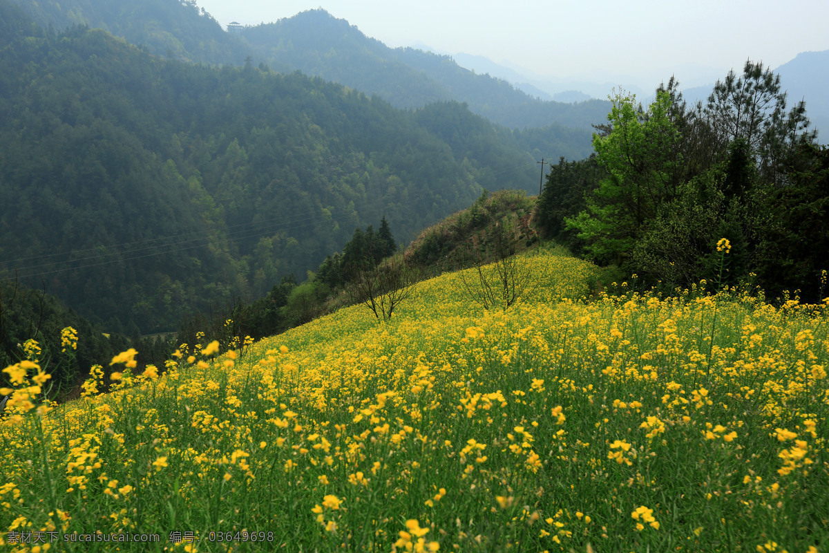 安徽 春天 村庄 国内旅游 旅游 旅游摄影 绿树 石潭 村 石潭村 歙县霞坑镇 石潭村安徽 psd源文件