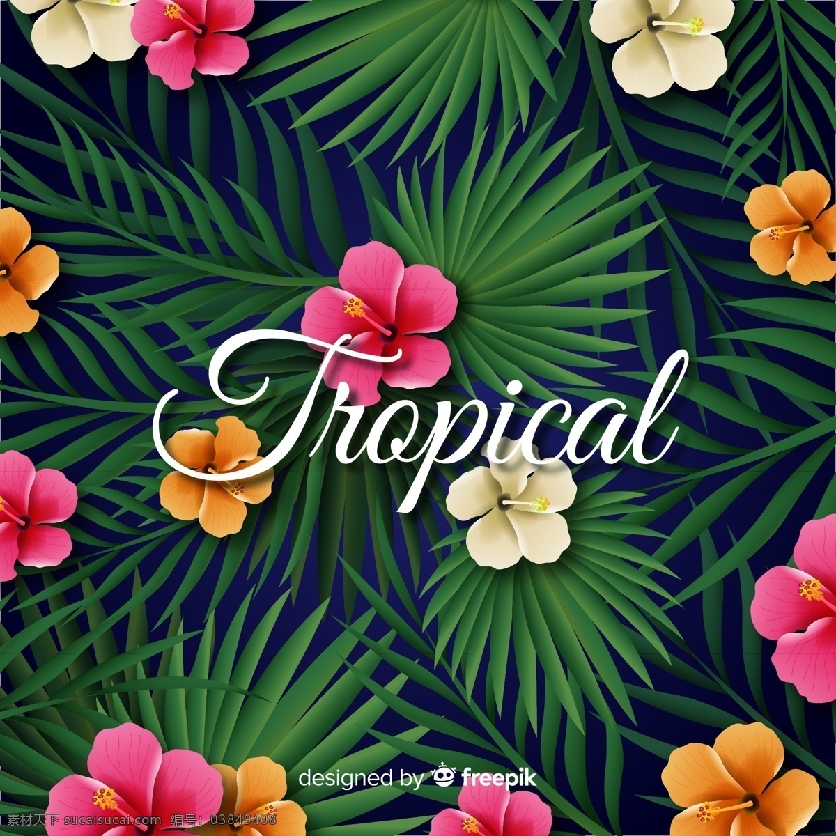 创意 热带 棕榈 树叶 扶桑花 广告海报设计 名片卡片