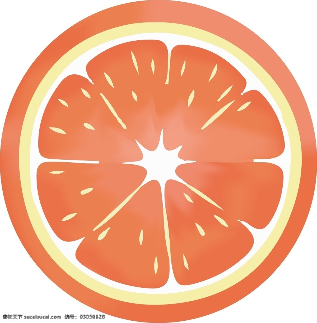 手绘 蔬果 橙子 商用 元素 卡通 装饰 水果
