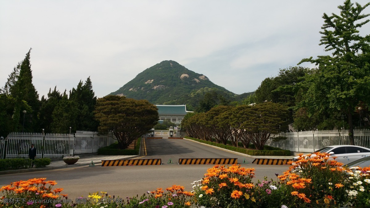 韩国青瓦台 韩国 首尔 青瓦台 北岳山 韩国旅游 旅游摄影 国外旅游