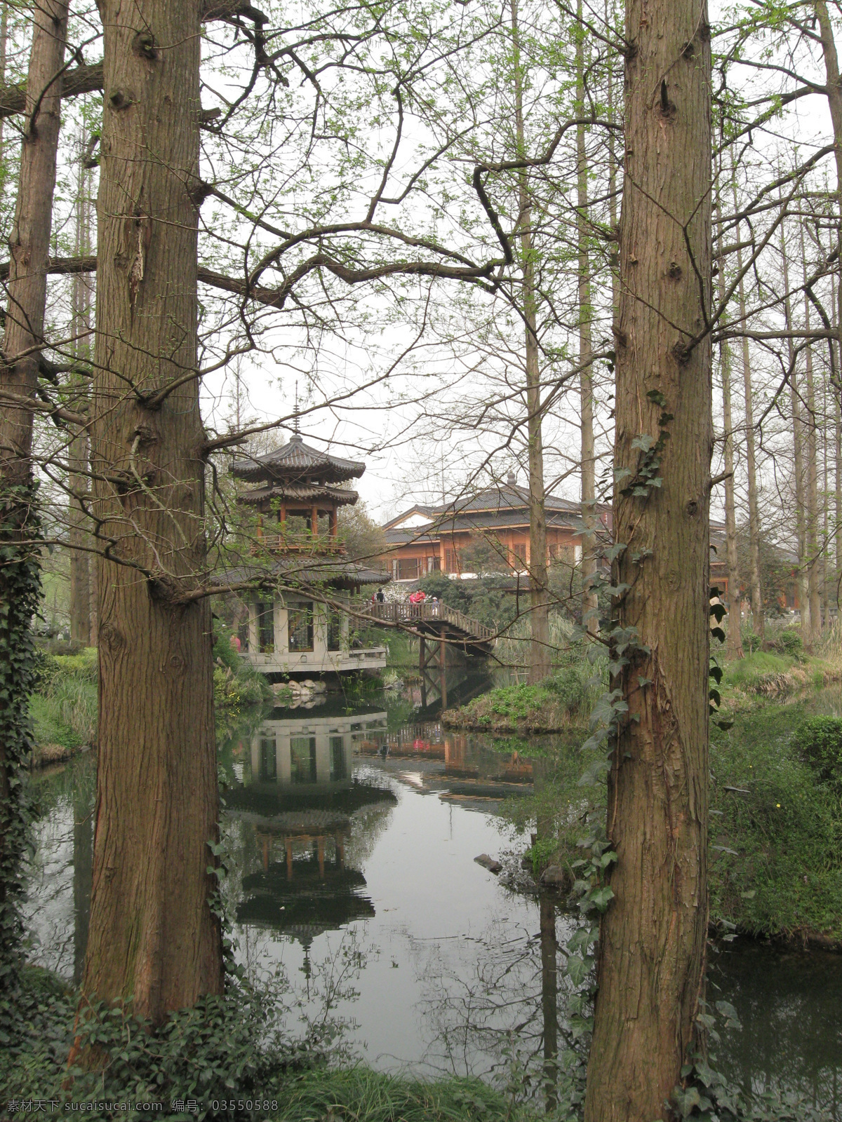 树免费下载 大树 湖水 树 树干 树枝 水中倒影 房子 风景 生活 旅游餐饮