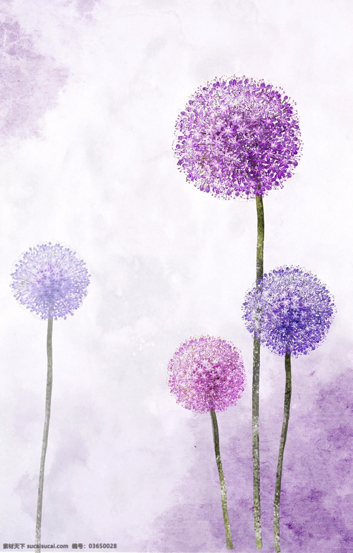 紫色 绣球 梦幻 插画集