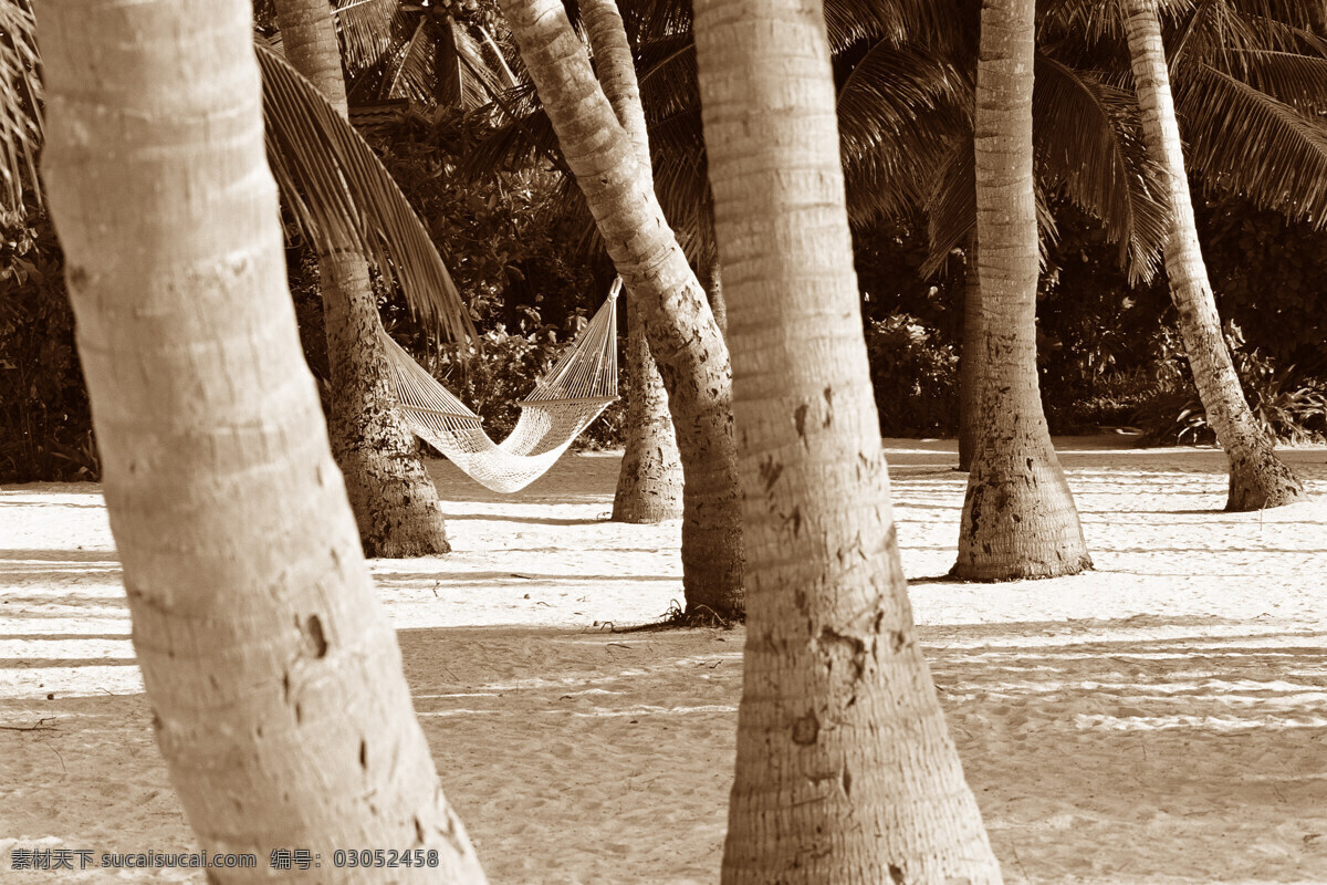海滩 素材图片 jpg图库 jpg图片 高清图片素材 椰树 吊床 大海图片 风景图片