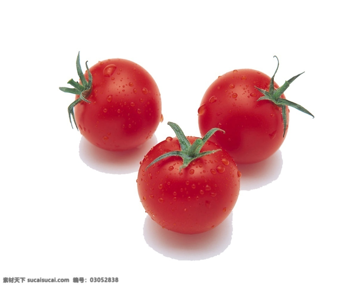 番茄素材 免抠素材 番茄 白色