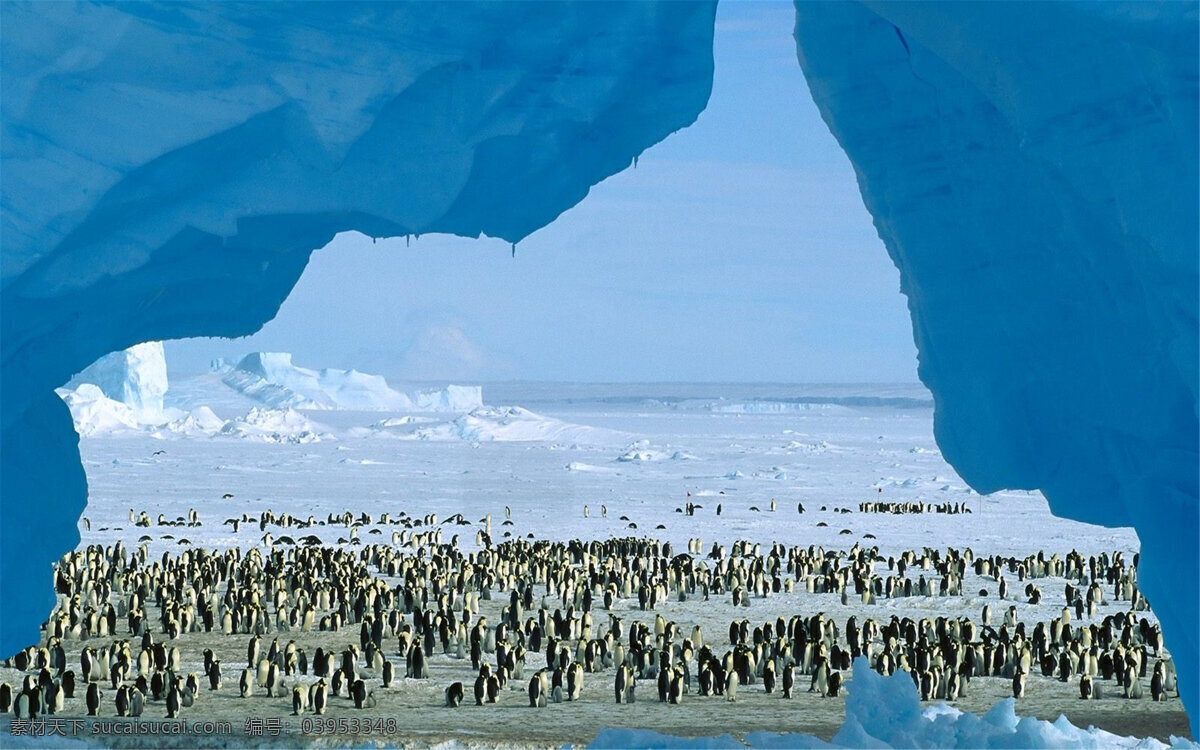 阿拉斯加 南极洲 自然风景 电脑壁纸 大自然 风景 自然景观