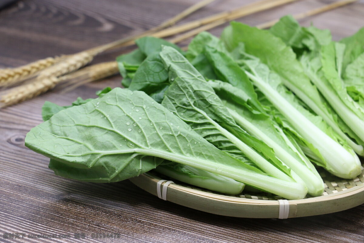 杭白菜 有机蔬菜 绿色健康 新鲜蔬菜 小白菜 油菜 青菜