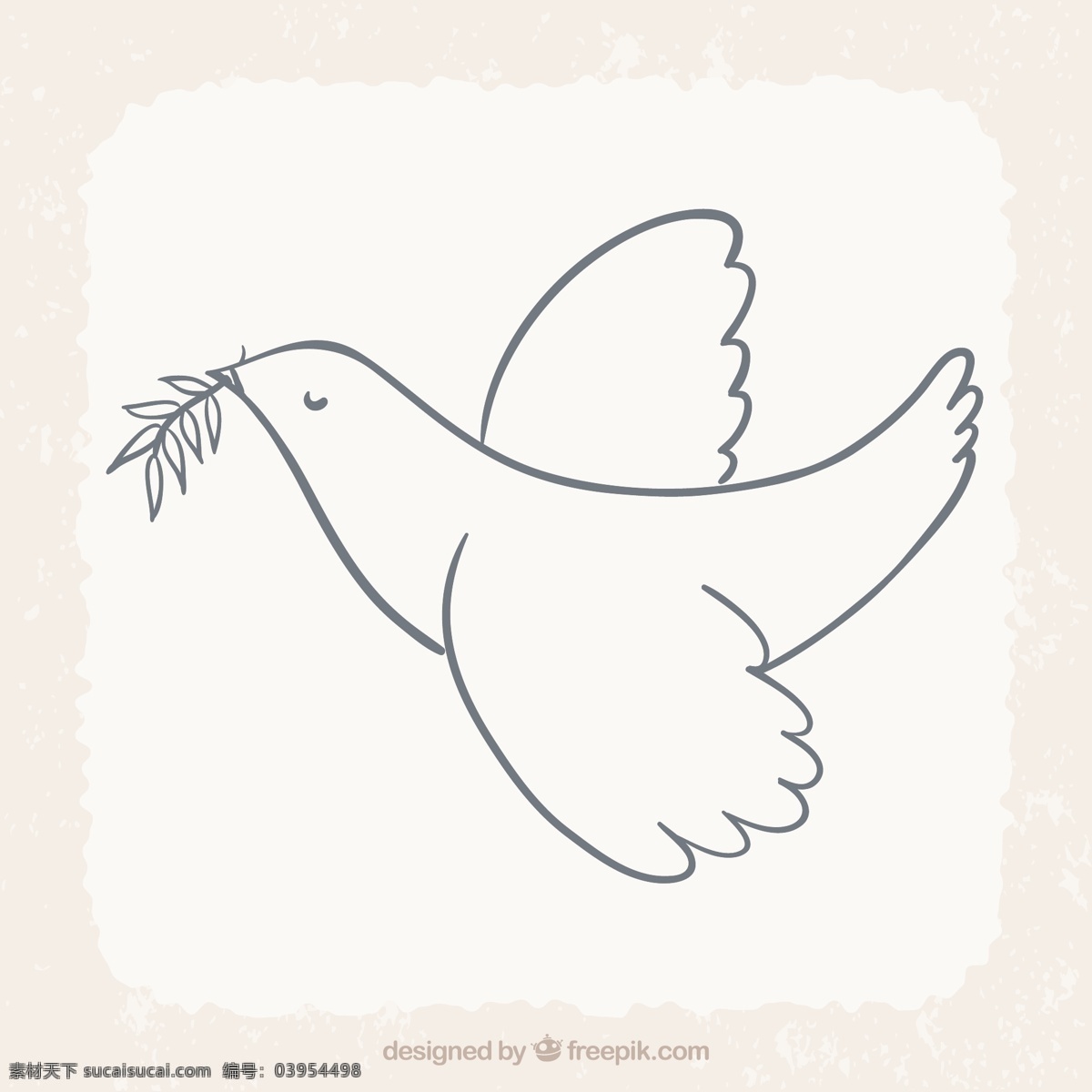 月桂树 叶飞 鸟 爱 叶 动物 树叶 月桂 和平 鸽子 白色 象征 爱鸟 国际 飞行 水平